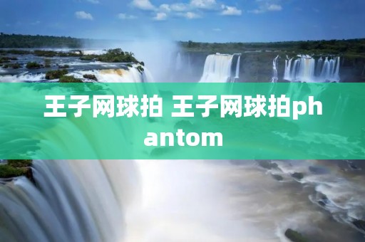 王子网球拍 王子网球拍phantom