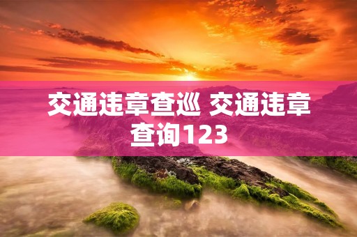 交通违章查巡 交通违章查询123