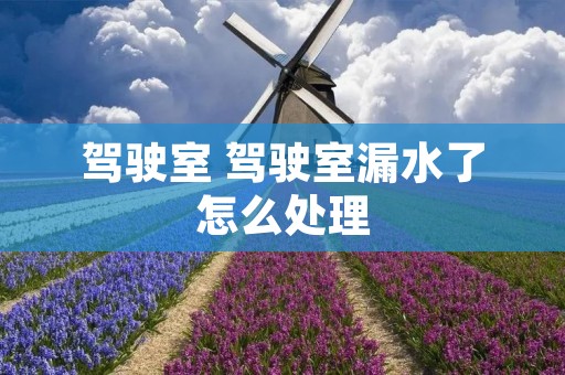 驾驶室 驾驶室漏水了怎么处理