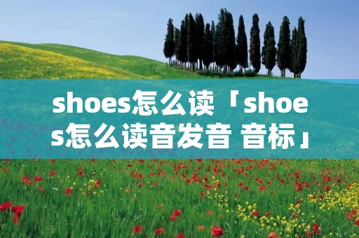 shoes怎么读「shoes怎么读音发音 音标」 shoes怎么读「shoes怎么读音发音 音标」