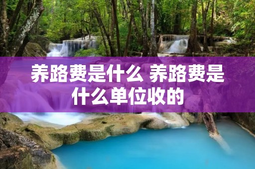 养路费是什么 养路费是什么单位收的 养路费是什么 养路费是什么单位收的