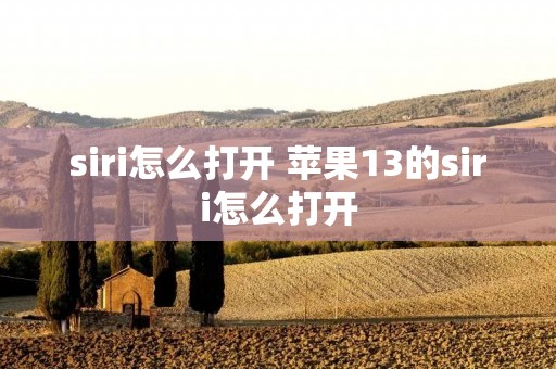 siri怎么打开 苹果13的siri怎么打开 siri怎么打开 苹果13的siri怎么打开