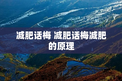 减肥话梅 减肥话梅减肥的原理