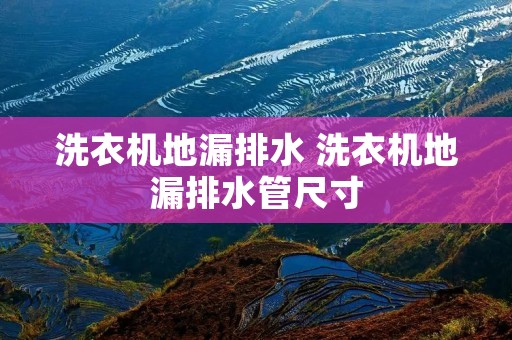 洗衣机地漏排水 洗衣机地漏排水管尺寸