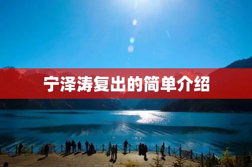 宁泽涛复出的简单介绍 宁泽涛复出的简单介绍
