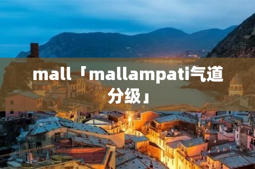 mall「mallampati气道分级」