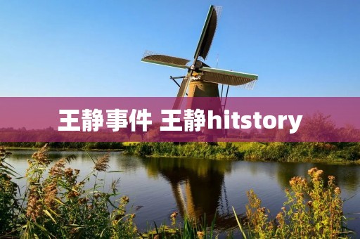 王静事件 王静hitstory