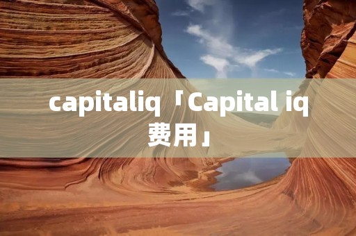 capitaliq「Capital iq费用」