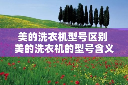美的洗衣机型号区别 美的洗衣机的型号含义