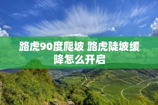 路虎90度爬坡 路虎陡坡缓降怎么开启 路虎90度爬坡 路虎陡坡缓降怎么开启