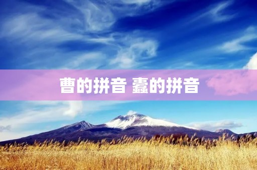 曹的拼音 蠹的拼音 曹的拼音 蠹的拼音