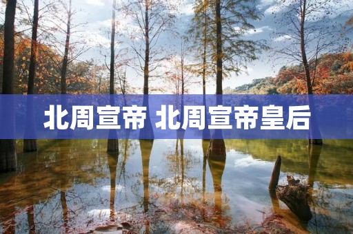 北周宣帝 北周宣帝皇后