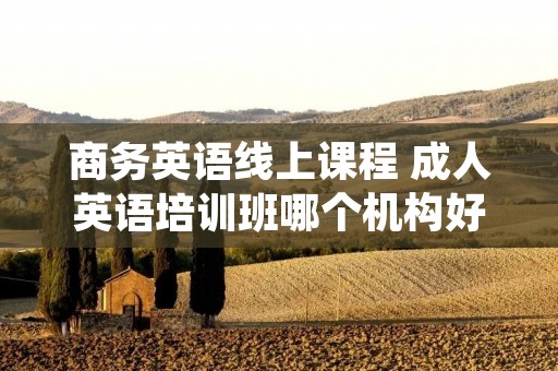 商务英语线上课程 成人英语培训班哪个机构好