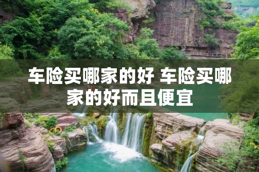 车险买哪家的好 车险买哪家的好而且便宜
