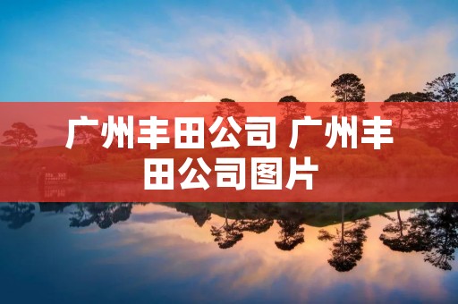 广州丰田公司 广州丰田公司图片
