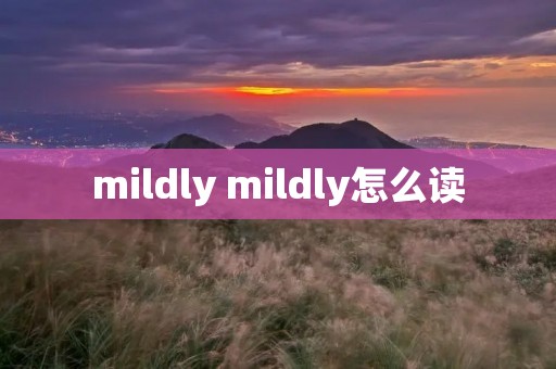 mildly mildly怎么读