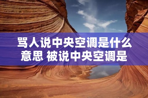 骂人说中央空调是什么意思 被说中央空调是什么意思