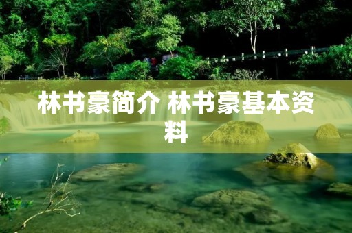 林书豪简介 林书豪基本资料
