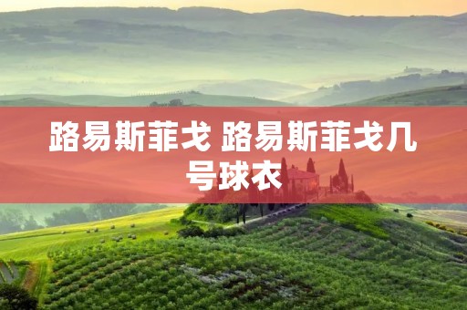 路易斯菲戈 路易斯菲戈几号球衣