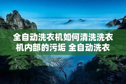 全自动洗衣机如何清洗洗衣机内部的污垢 全自动洗衣机怎么清理里面的污垢 全自动洗衣机如何清洗洗衣机内部的污垢 全自动洗衣机怎么清理里面的污垢