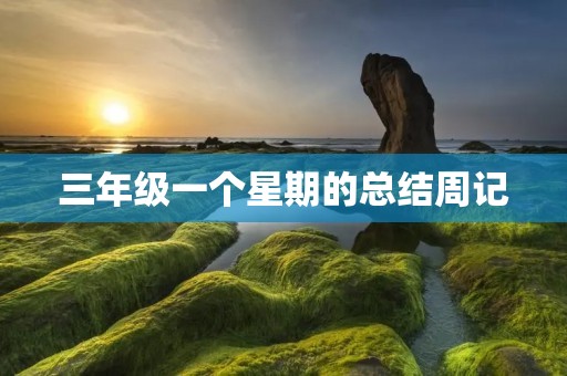 三年级一个星期的总结周记 三年级一个星期的总结周记