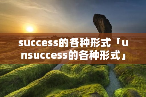 success的各种形式「unsuccess的各种形式」