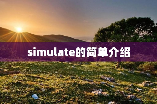 simulate的简单介绍