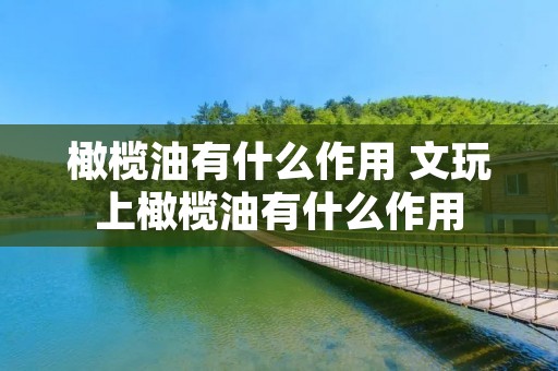 橄榄油有什么作用 文玩上橄榄油有什么作用 橄榄油有什么作用 文玩上橄榄油有什么作用