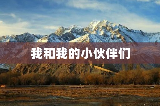 我和我的小伙伴们