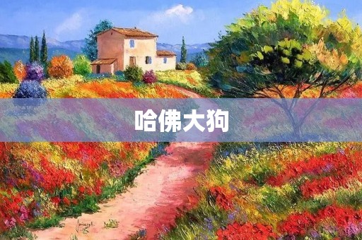 哈佛大狗:一只独特的畜生 哈佛大狗:一只独特的畜生