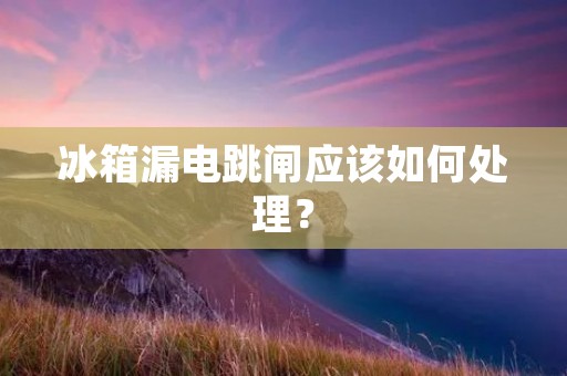 冰箱漏电跳闸应该如何处理? 冰箱漏电跳闸应该如何处理?