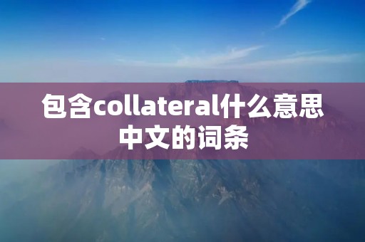 包含collateral什么意思中文的词条