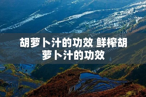 胡萝卜汁的功效 鲜榨胡萝卜汁的功效