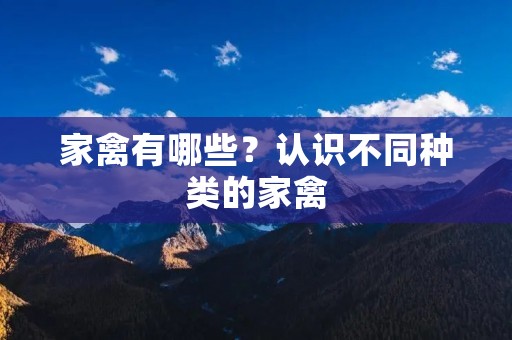 家禽有哪些?认识不同种类的家禽