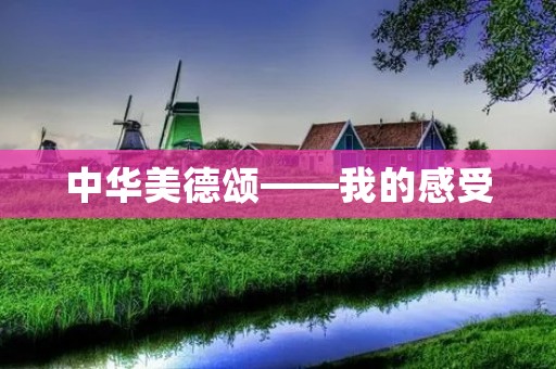 中华美德颂——我的感受