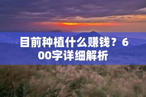 目前种植什么赚钱?600字详细解析