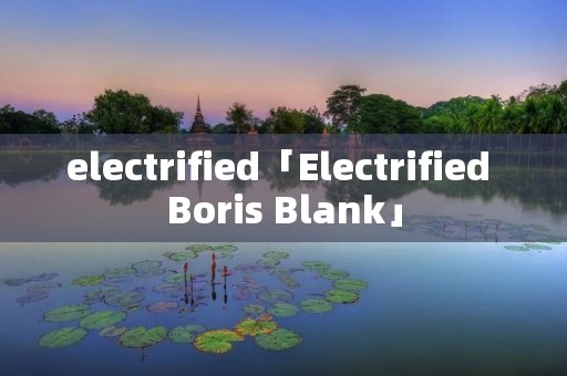 electrified「Electrified Boris Blank」