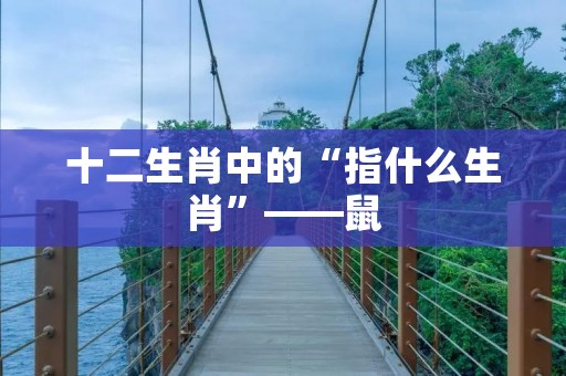 十二生肖中的“指什么生肖”——鼠