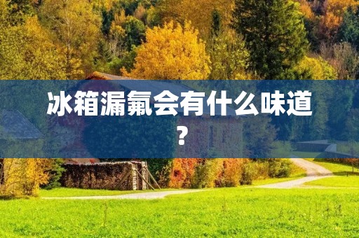 冰箱漏氟会有什么味道？