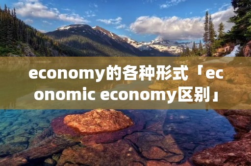economy的各种形式「economic economy区别」 economy的各种形式「economic economy区别」