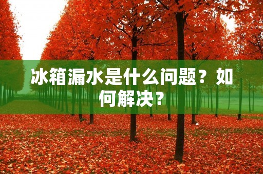 冰箱漏水是什么问题？如何解决？