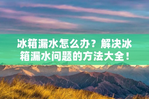 冰箱漏水怎么办？解决冰箱漏水问题的方法大全！