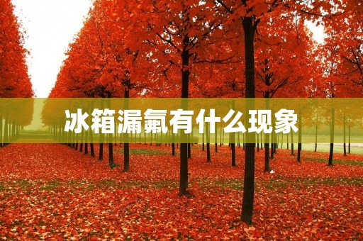 冰箱漏氟有什么现象
