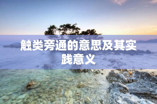 触类旁通的意思及其实践意义