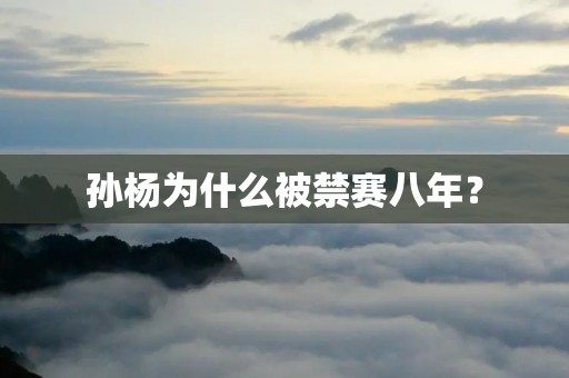 孙杨为什么被禁赛八年？