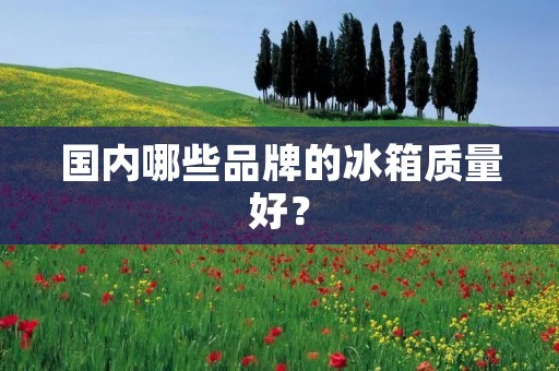 国内哪些品牌的冰箱质量好? 国内哪些品牌的冰箱质量好?