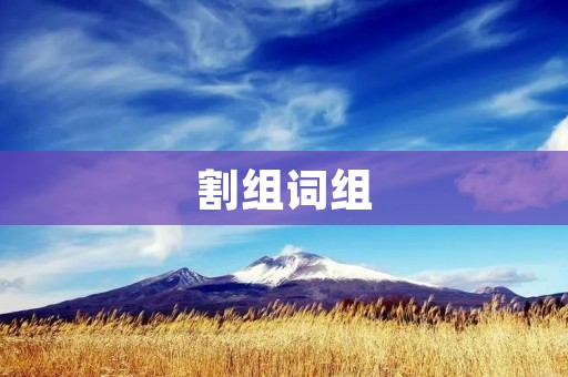割组词组:让你的写作更加简洁有力 割组词组:让你的写作更加简洁有力