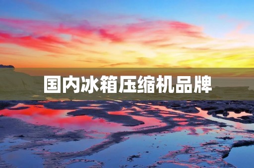国内冰箱压缩机品牌：市场现状及未来发展趋势