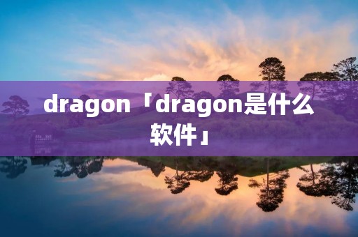 dragon「dragon是什么软件」