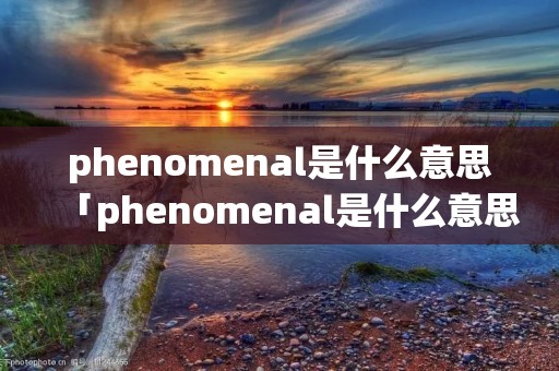 phenomenal是什么意思「phenomenal是什么意思中文翻译」